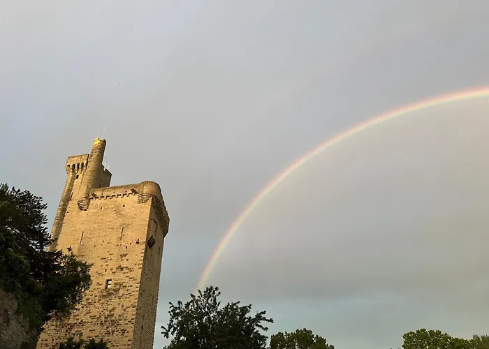 Charmante Petite Maison Avec Vue Panoramique, En Centre Historique, Proche D'Avignon, Ancienne, Renovee, Climatisee, Wi-Fi, Terrasse, Parking Public Gratuit