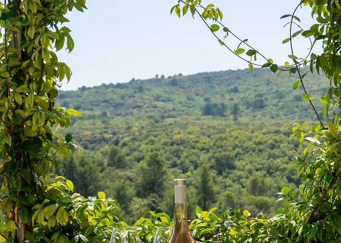 Location Bonnieux Provence